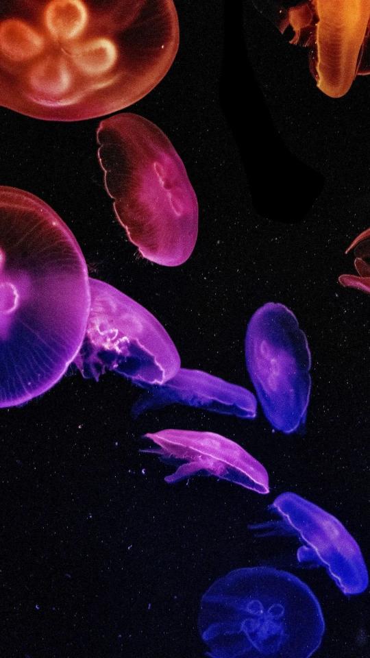 Glowing Jellyfish in Deep