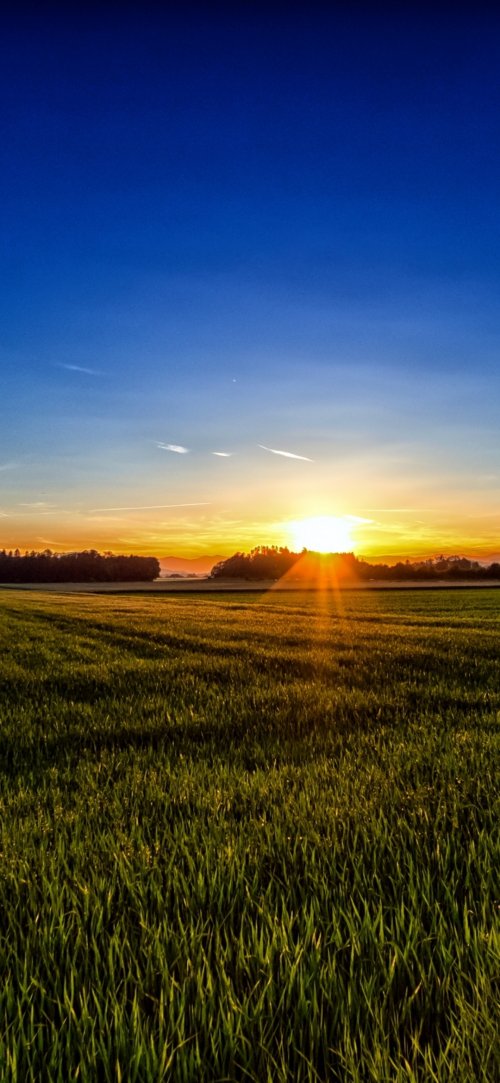 Golden Field Sunrise - Related OpersCraft wallpaper