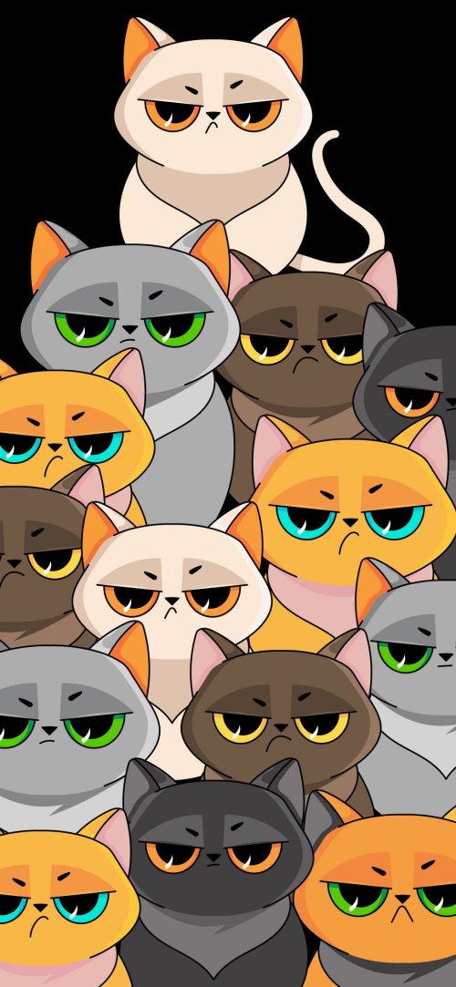 Grumpy Cat Crew
