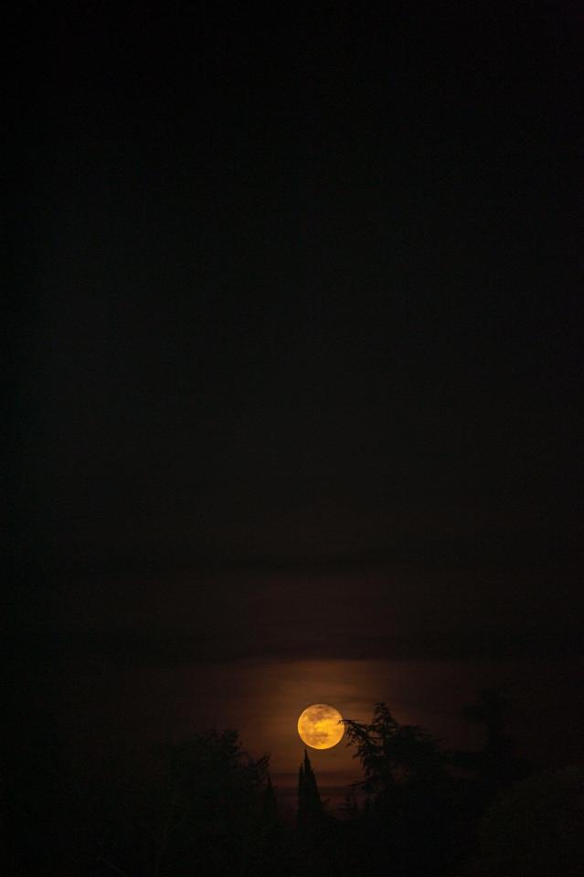 Harvest Moon Silhouette