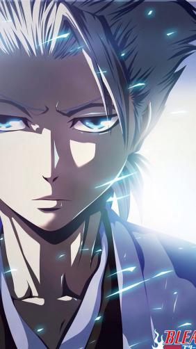 Hitsugaya Toushirou Portrait