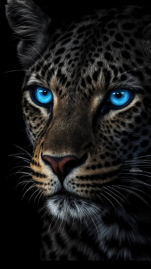 Leopard's Electric Blue Gaze