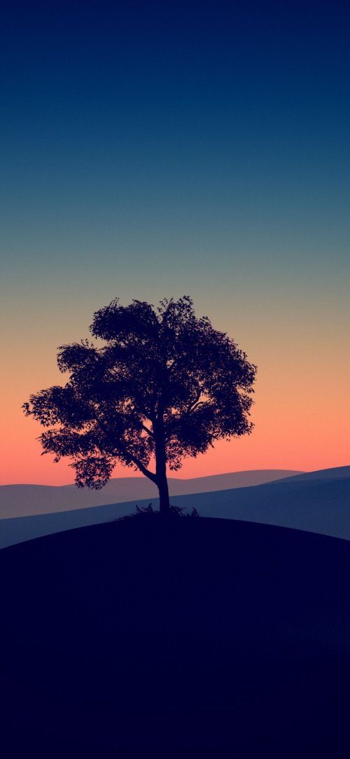 Lone Tree Sunset Silhouette - Related OpersCraft wallpaper