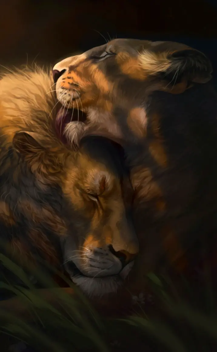 Loving Lion Couple - Related OpersCraft wallpaper