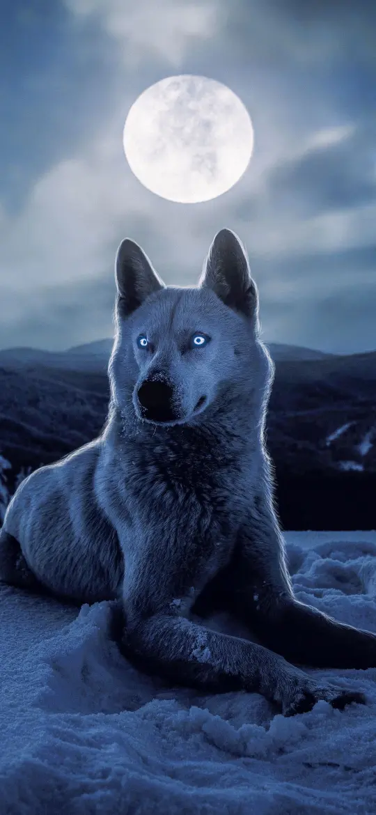Lunar Wolf Majesty