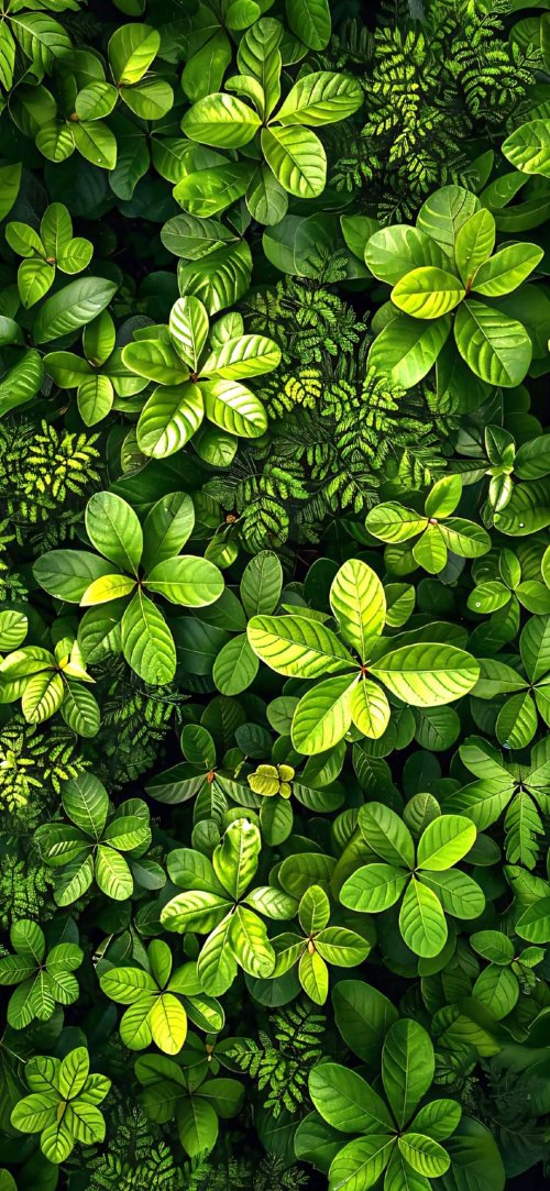 Lush Green Foliage Background - Related StockWalls wallpaper