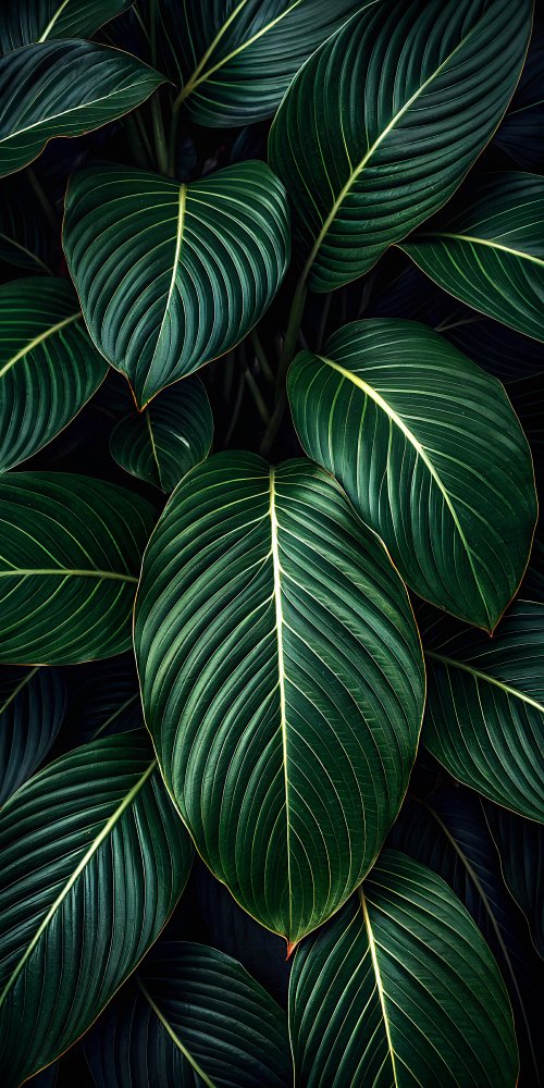 Lush Tropical Green Leaves - Related OpersCraft wallpaper
