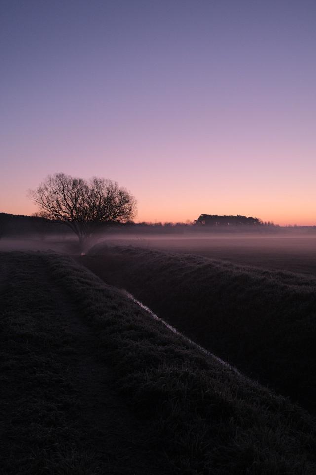 Misty Field at Dusk - Related OpersCraft wallpaper