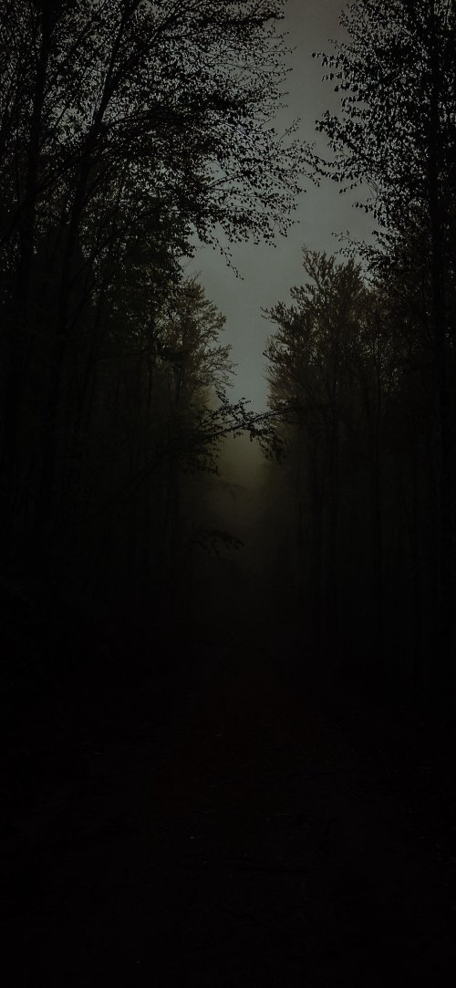 Misty Forest Path - Related OpersCraft wallpaper