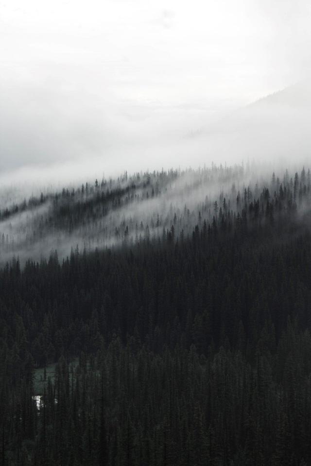 Misty Forest Vista - Related OpersCraft wallpaper