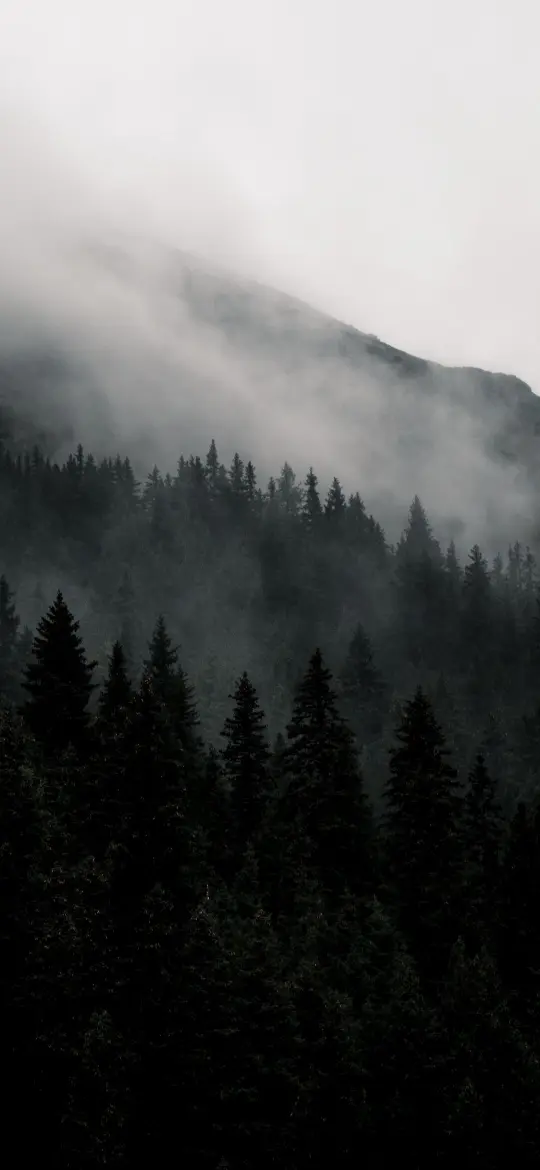 Misty Mountain Forest - Related OpersCraft wallpaper