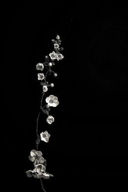 Monochrome Floral Elegance - floral Wallpaper