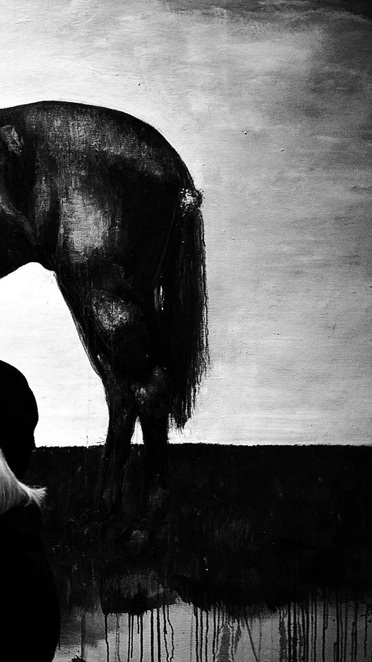 Monochrome Horse Painting - animals Wallpaper