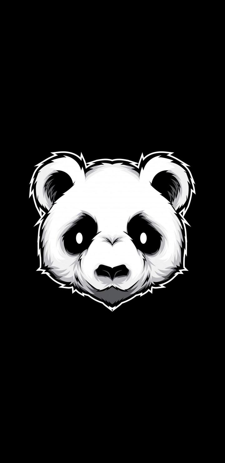 Monochrome Panda Portrait - Related Darkify wallpaper