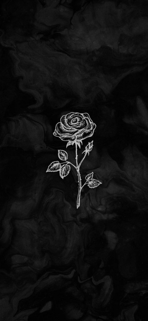Monochrome Rose Sketch - floral Wallpaper