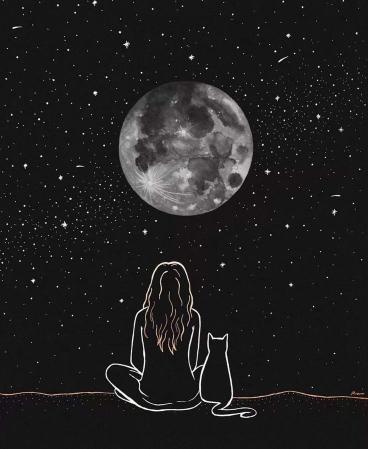 Moon Gazing with Cat - Related OpersCraft wallpaper