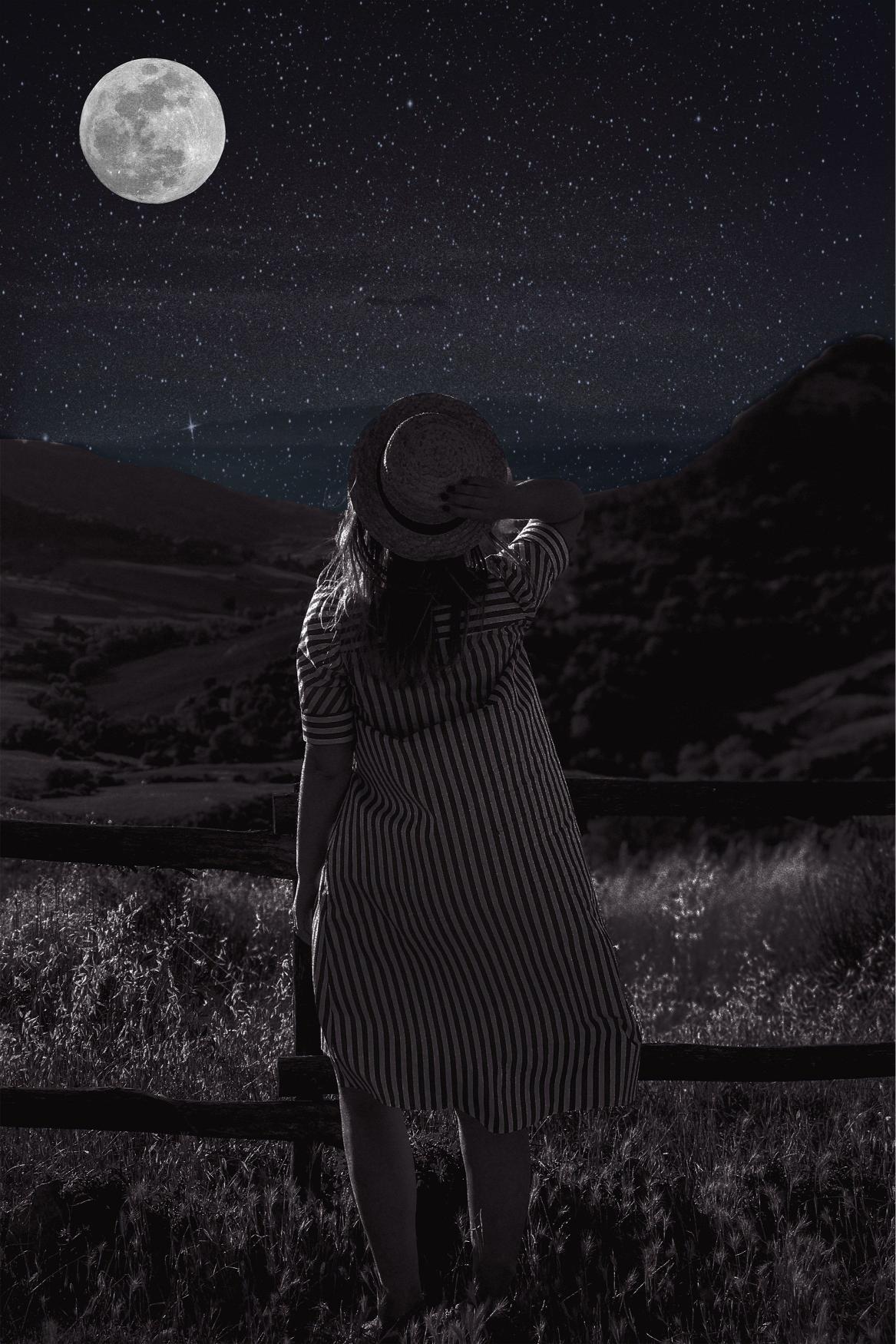 Moonlit Night Dreamer