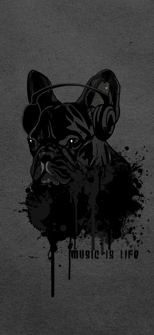 Music Dog Wallpaper