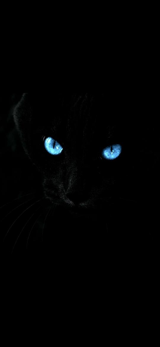 Mystic Blue Cat Eyes - Related StockWalls wallpaper