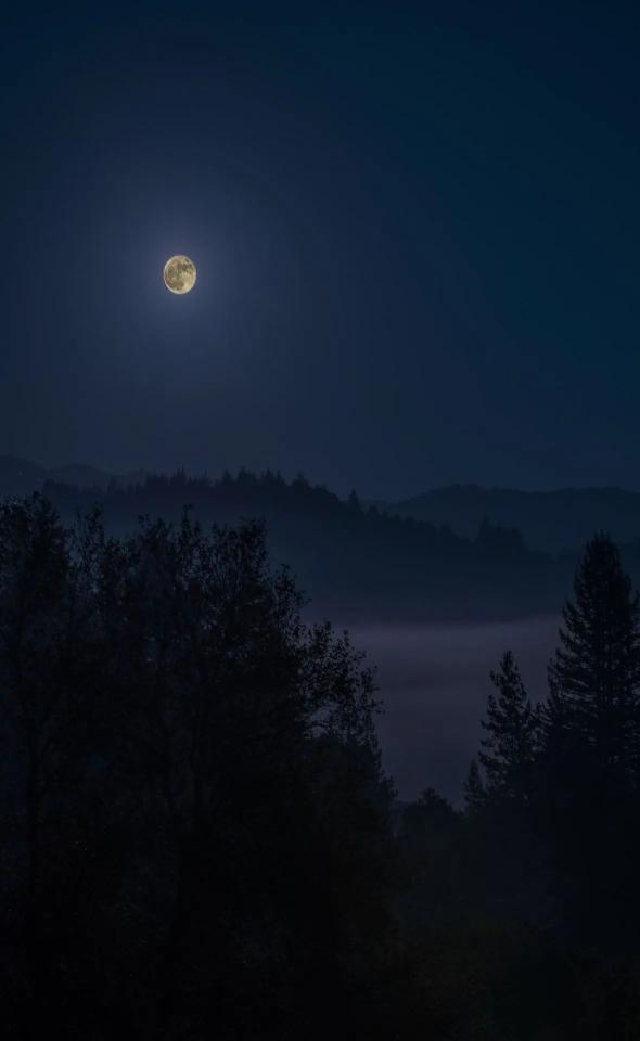 Mystical Moonlight Forest - Related OpersCraft wallpaper