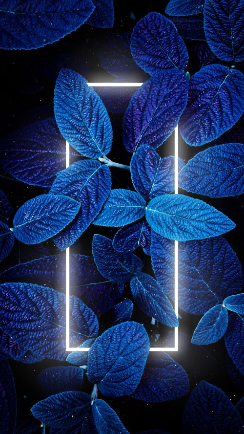 Neon Blue Leaf Frame
