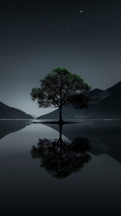Night Tree Reflection Serenity - Related OpersCraft wallpaper