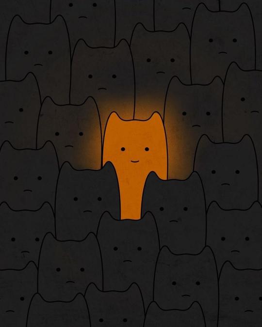 Orange Cat Among Black - Related OpersCraft wallpaper