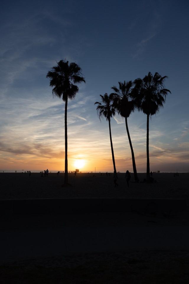 Palm Sunset Silhouette - Related OpersCraft wallpaper