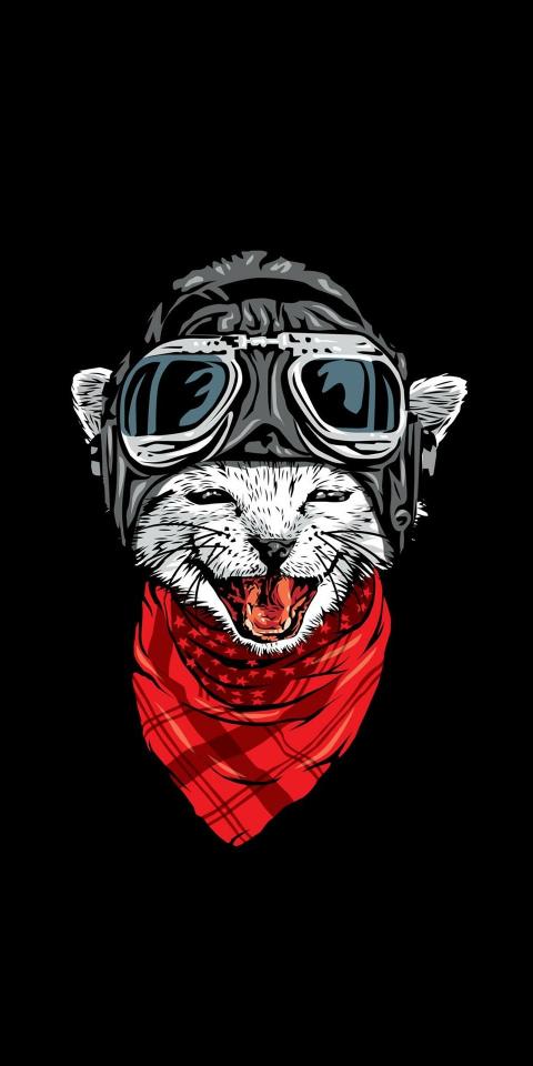 Pilot Cat Illustration - Related OpersCraft wallpaper