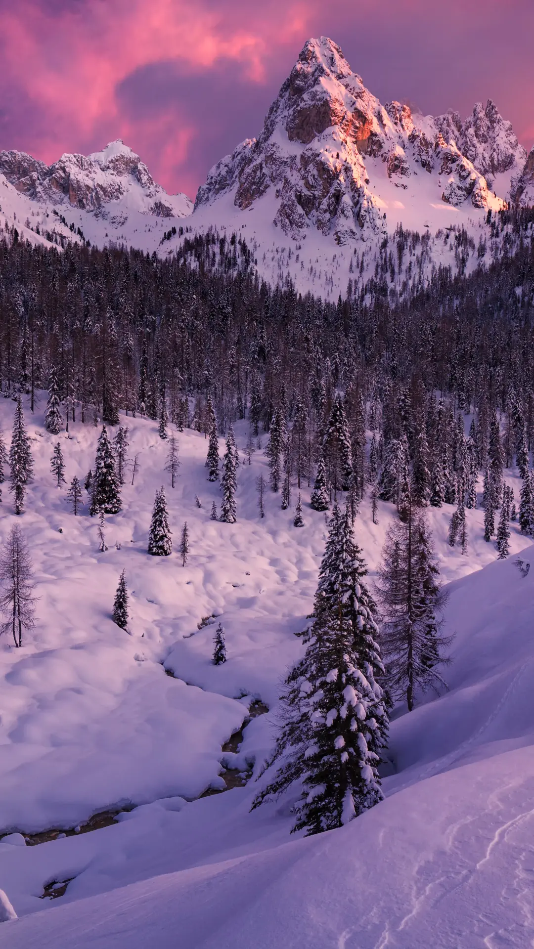 Pink Mountain Winterscape