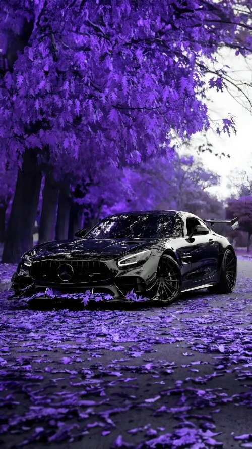 Purple Forest Car