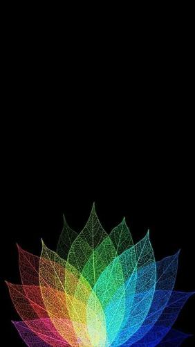 Rainbow Leaf Skeleton Bloom - Related OpersCraft wallpaper