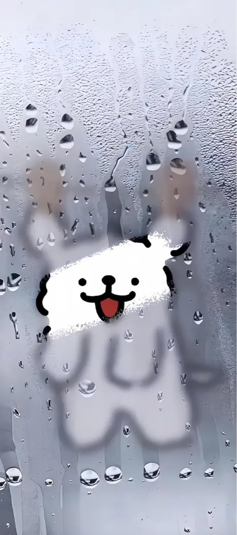 Rainy Day Dog