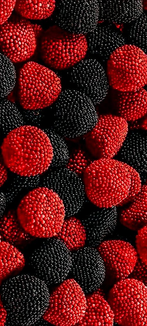 Red and Black Berries - Related StockWalls wallpaper
