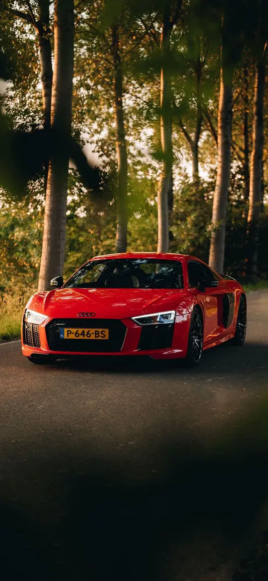 Red Audi in Forest