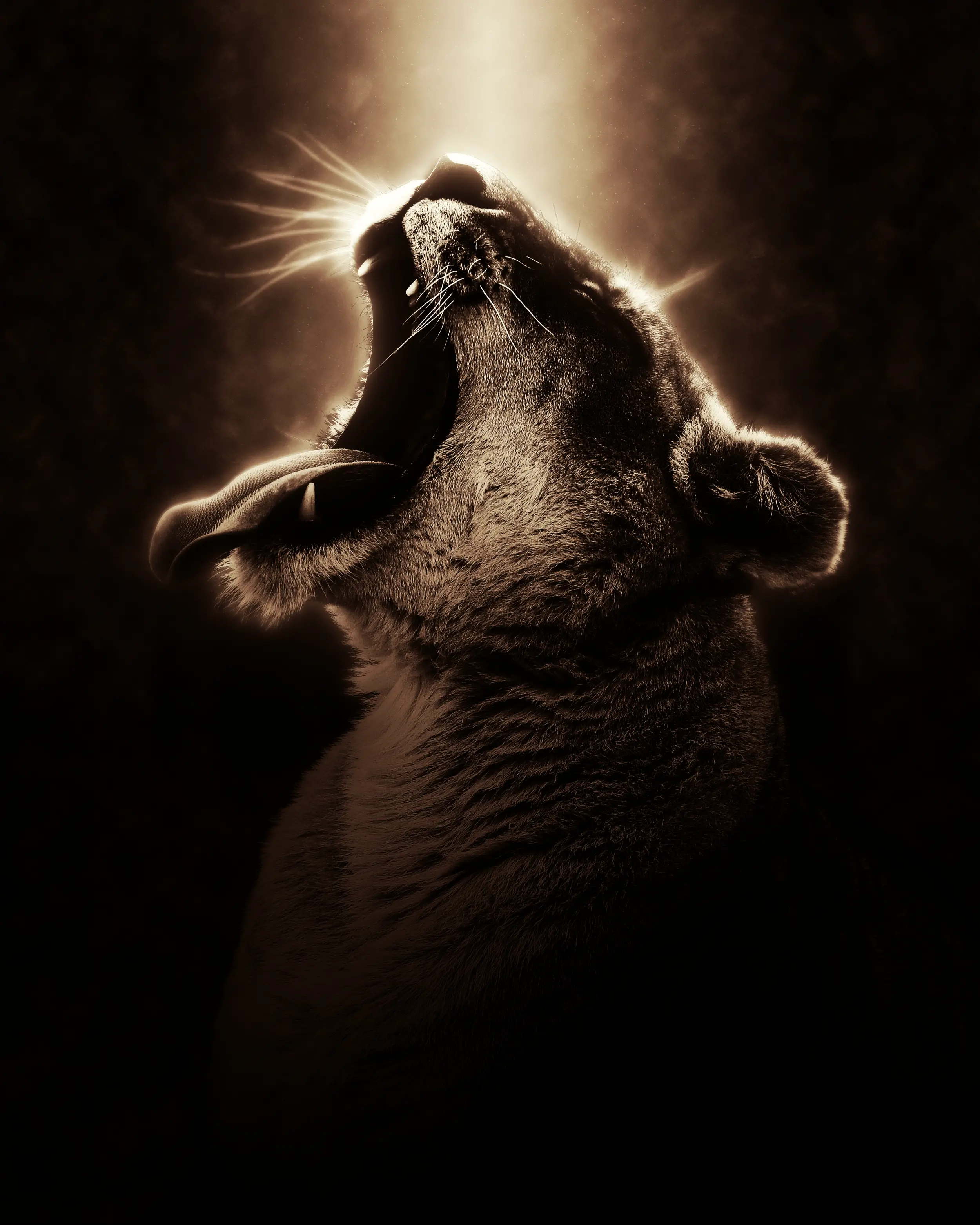 Roaring Lion Sepia Tone - Related OpersCraft wallpaper