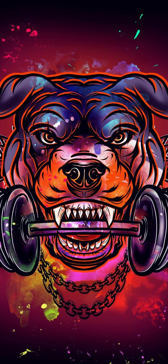 Rottweiler Weightlifting Artwork