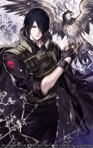 Sasuke and his Hawk - Related Tablet wallpaper