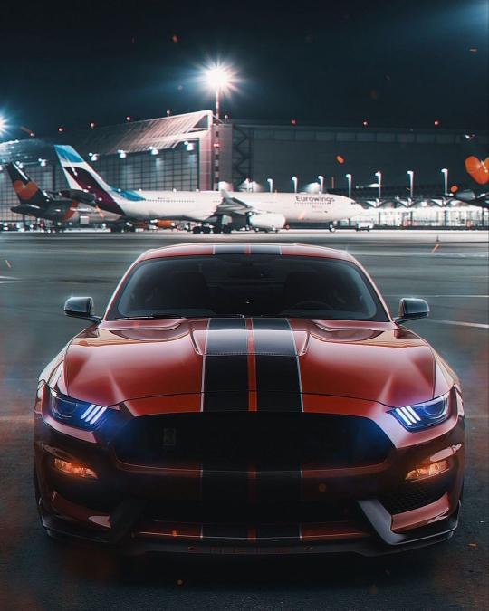 Shelby at the Airport - Related OpersCraft wallpaper