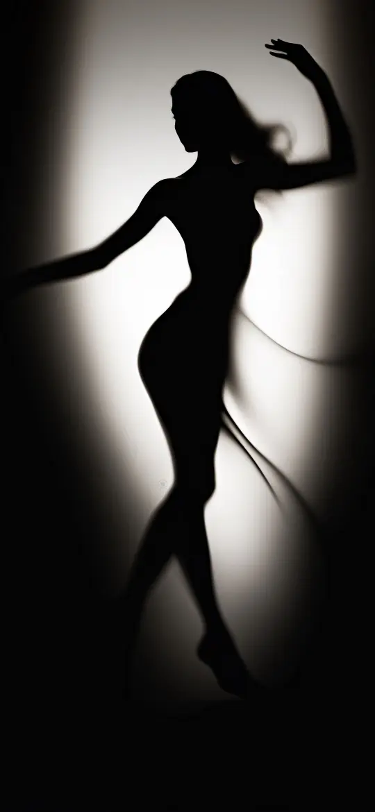 Silhouette Dance of Light - Related OpersCraft wallpaper