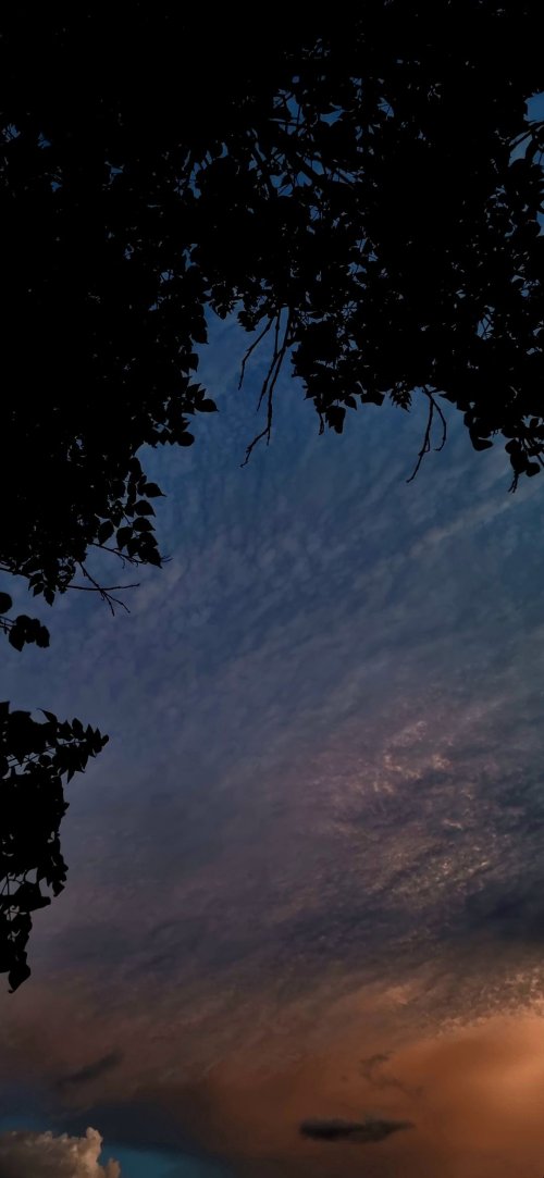Silhouetted Trees Sunset Sky - Related OpersCraft wallpaper