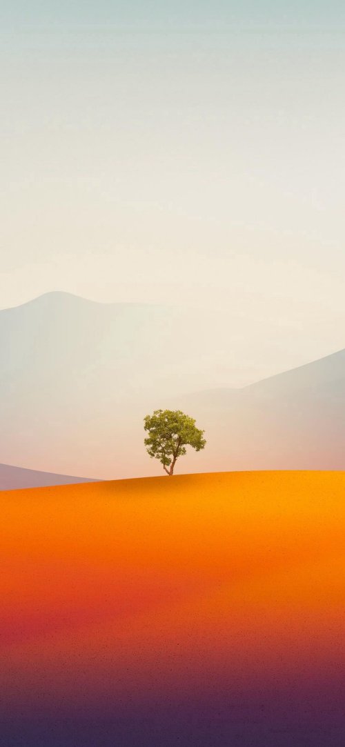 Solitary Tree Landscape