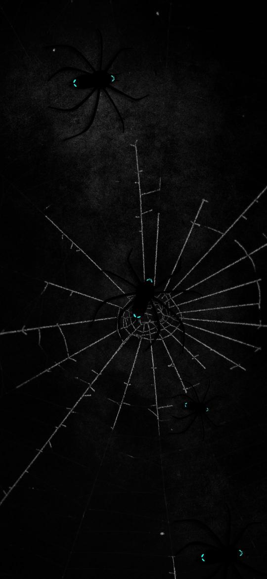Spooky Spider Web - Related OpersCraft wallpaper