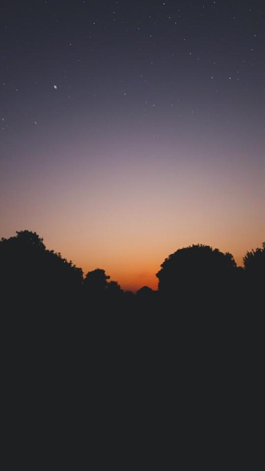 Starry Night Silhouette