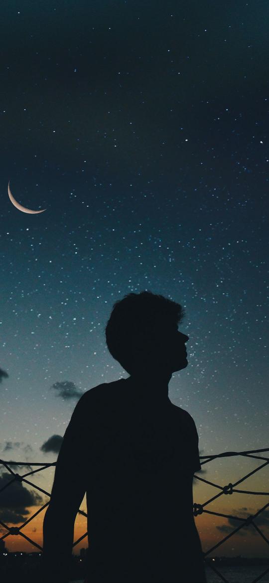 Starry Night Silhouette