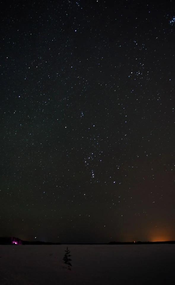 Starry Night Winter Scene