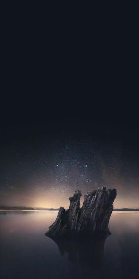 Stump Under Starry Sky - Related Tablet wallpaper