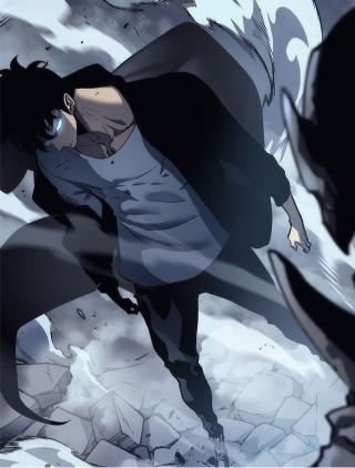 Sung Jin-Woo Battle Stance