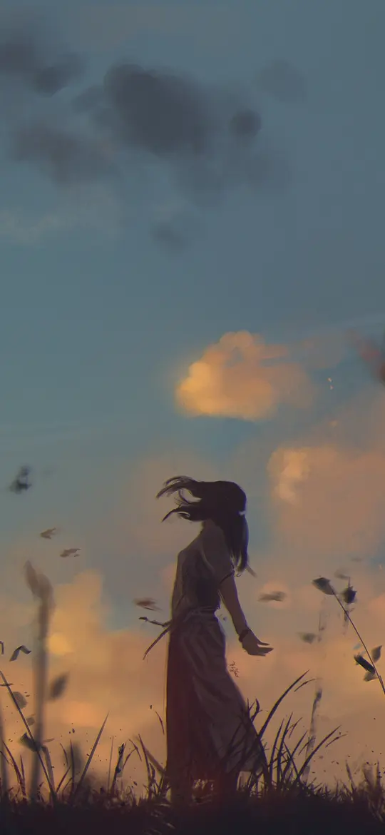 Sunset Meadow Wanderer