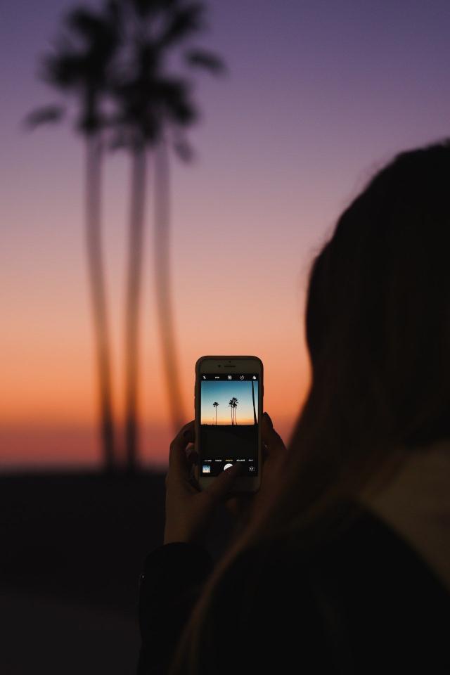 Sunset Palm Capture - Related OpersCraft wallpaper